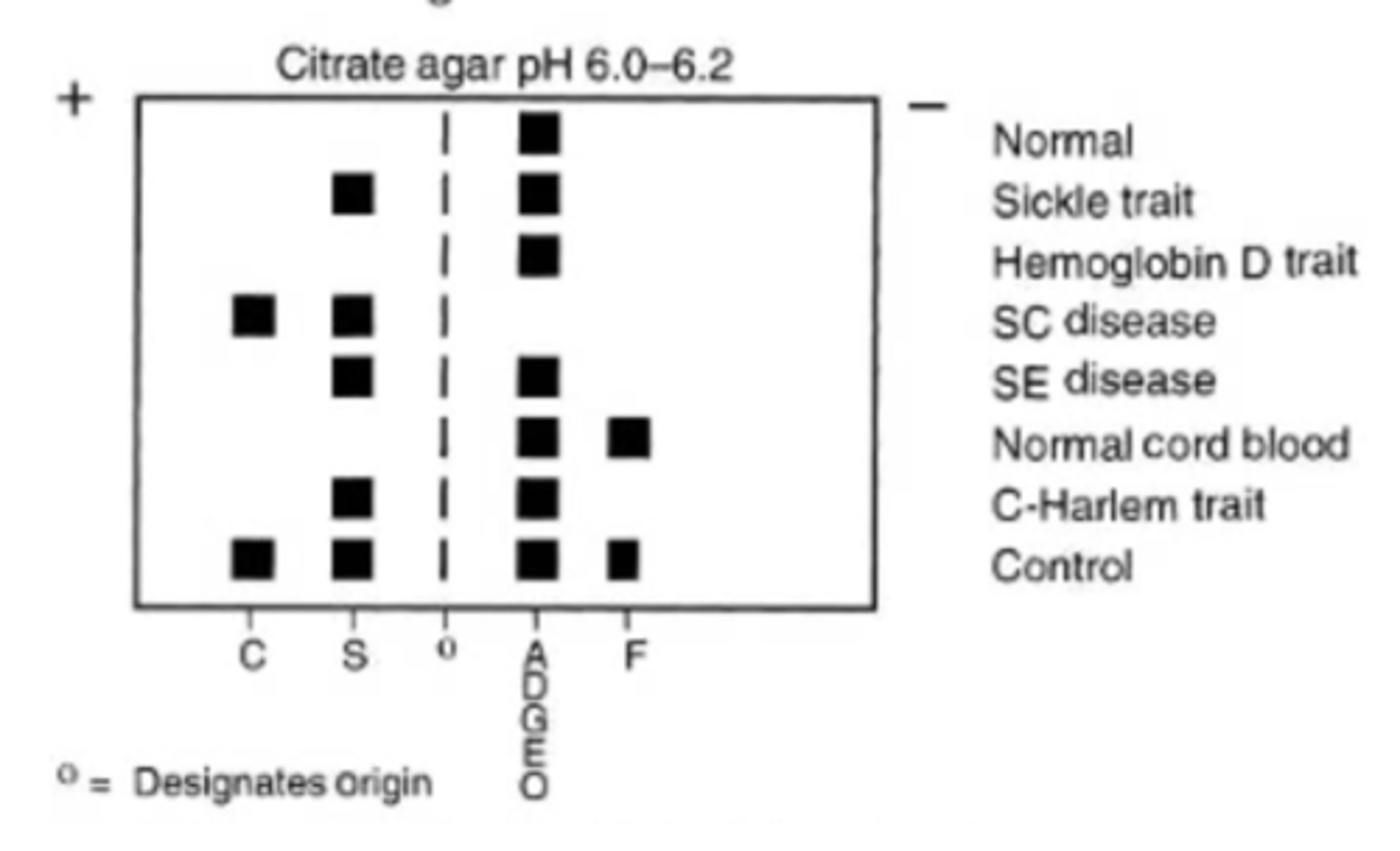 <p>Hb S separates from D and G</p>