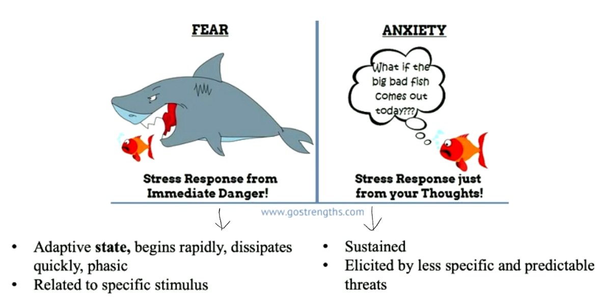 <p>Fear vs Anxiety</p>