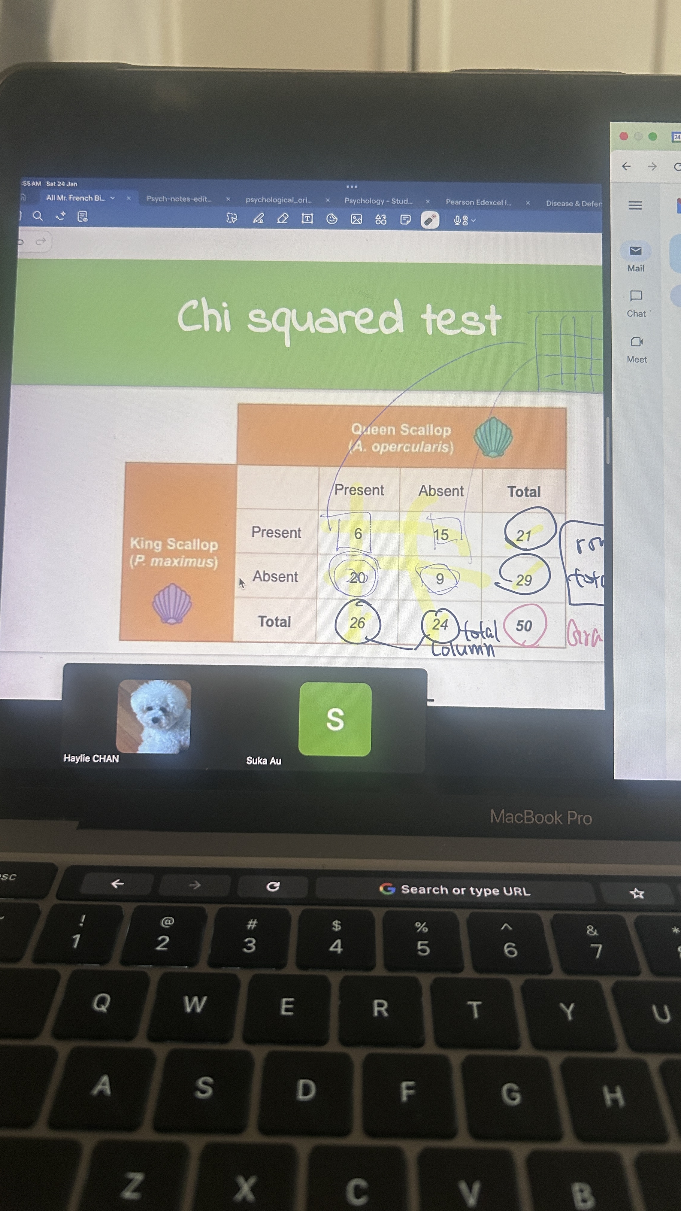 knowt flashcard image