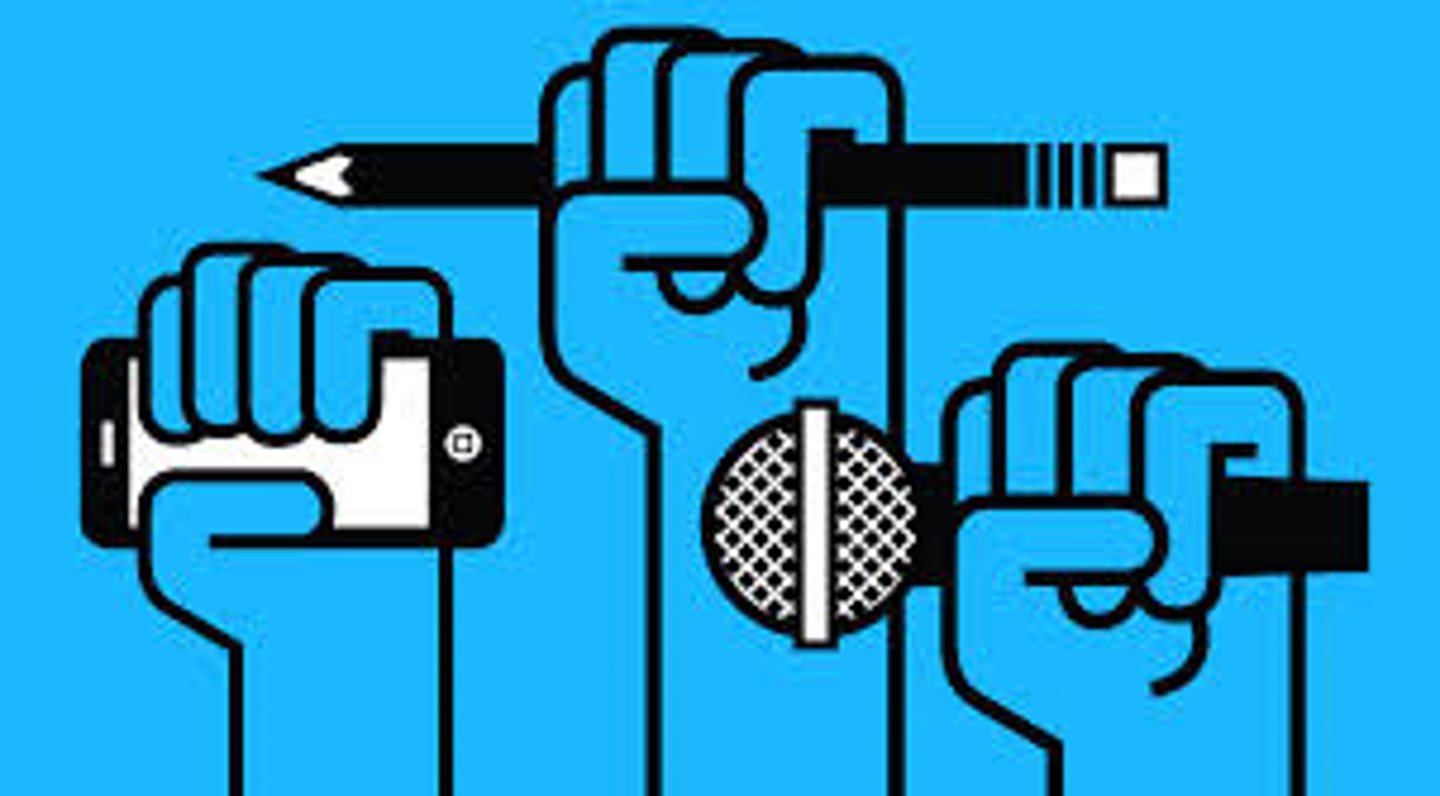<p>press; media</p>