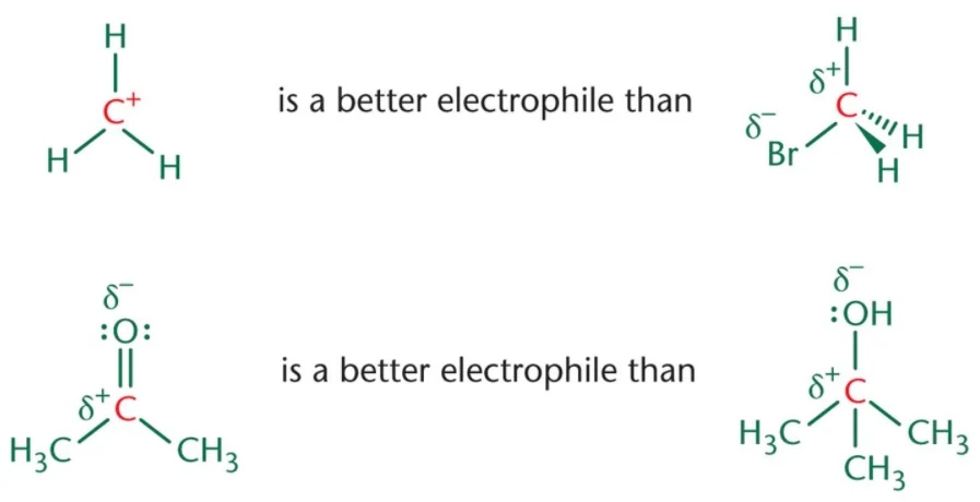 <p>Species with a positive charge or positively polarized atom that accepts an electron pair when forming new bonds with a nucleophile; Almost always act as Lewis acids in reactions; Greater degree of positive charge increases electrophilicity</p><p>Anhydrides &gt; Carboxylic Acids and Esters &gt; Amides</p>