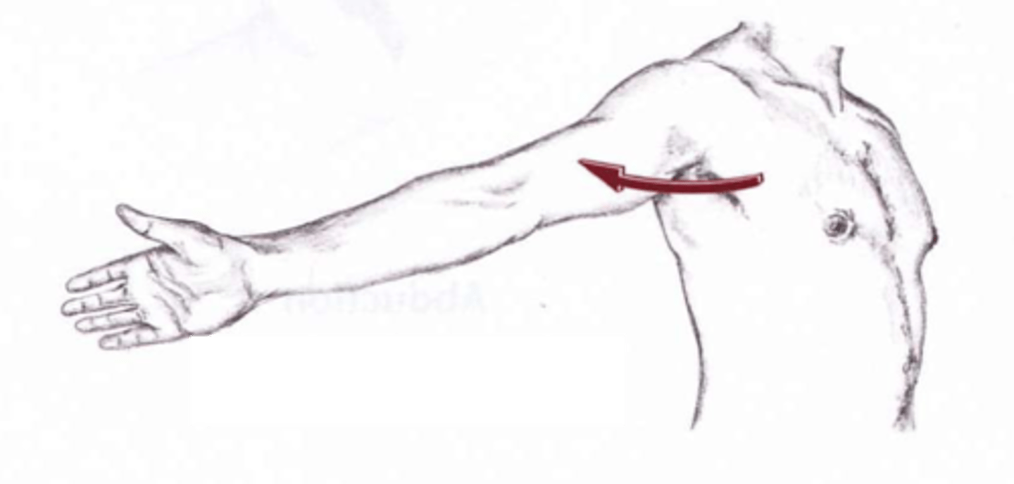 <p>movement within the transverse plane where the arms start at 90 degrees of abduction and are moved toward the posterior side of the body</p>