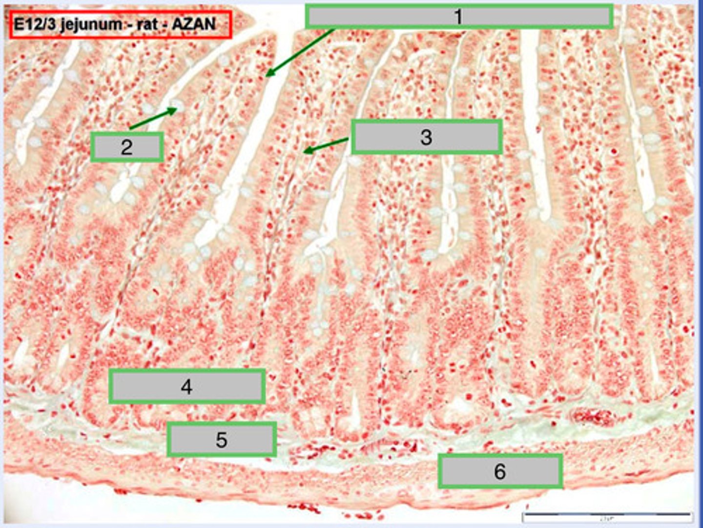 <p>1</p>