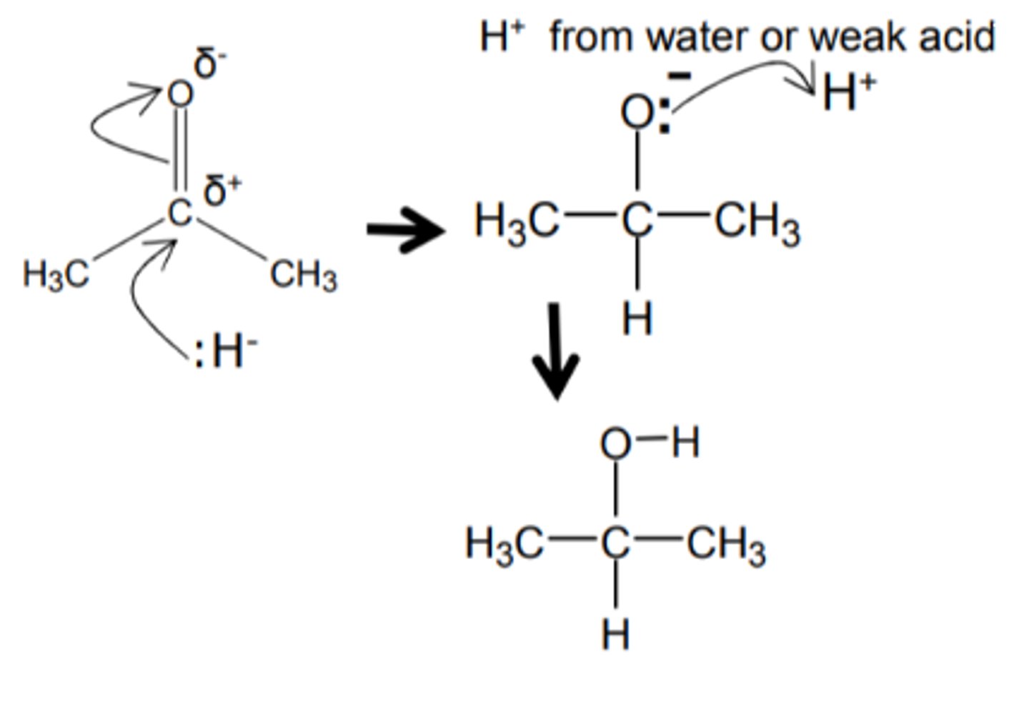 <p>You may use water however show all relevant dipoles and the end product of OH- at the end</p>