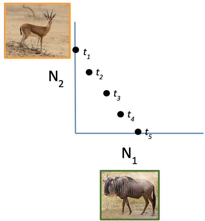 <p>(dN/dt) = 0</p>