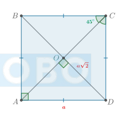 <p>Свойства квадрата: </p><ol><li><p>Все стороны равны.</p></li><li><p>Все углы прямые.</p></li><li><p>Диагонали точкой пересечения делятся пополам.</p></li><li><p>Диагонали равны.</p></li><li><p>Диагонали взаимно перпендикулярны.</p></li><li><p>Диагонали делят углы квадрата пополам.</p></li><li><p>Диагональ квадрата со стороной a равна a√2.</p></li></ol>