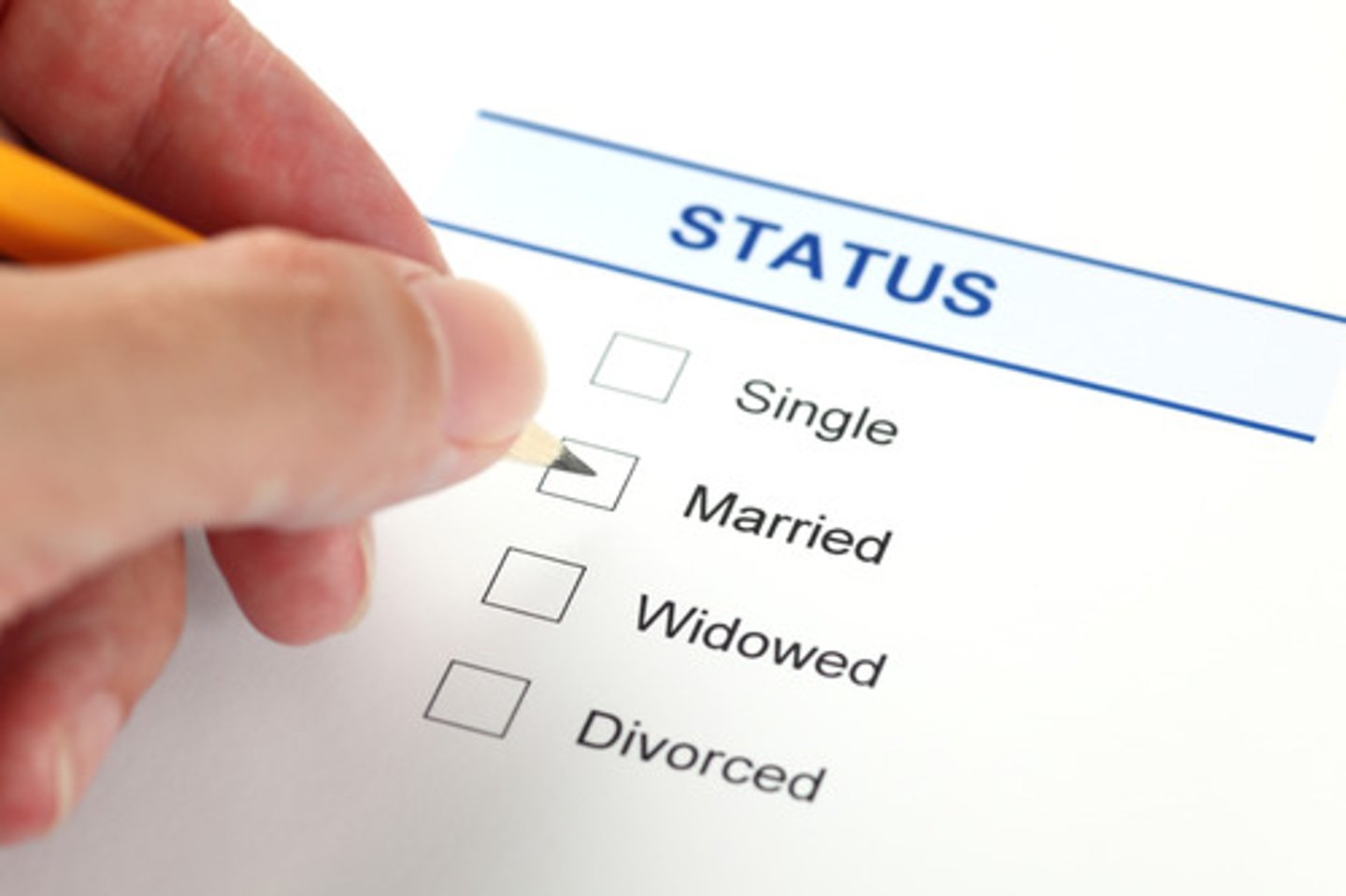 <p>marital status</p>