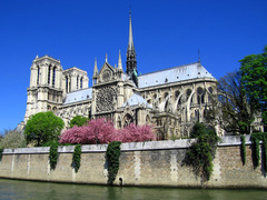 <p>a cathedral</p>