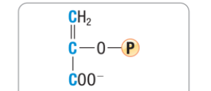 <p>What molecule is this?</p>