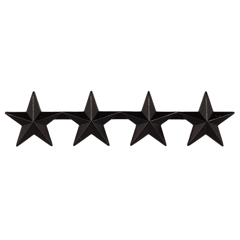 <p>four silver 5-point stars</p>
