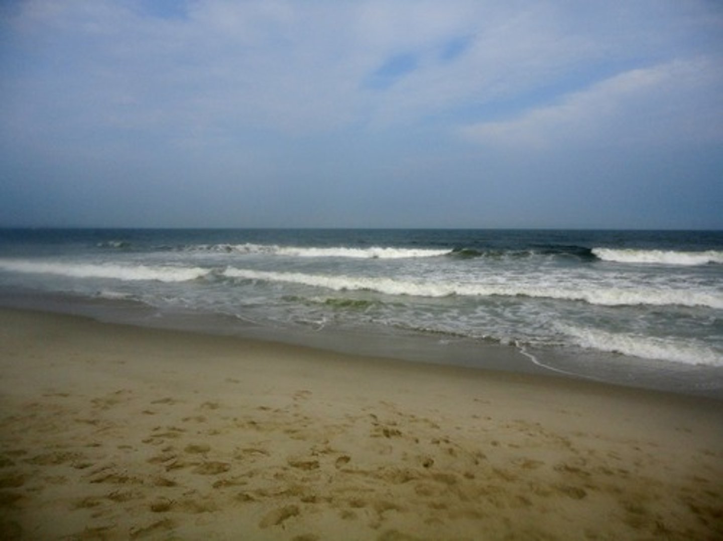 <p>type of intertidal zone found on coasts with gentler wave action; color of sand indicates the source material that eroded to form it (black = volcanic; brown = granite; white = coral)</p>