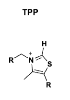 <p>TPP<br>- acyl group transfer</p>