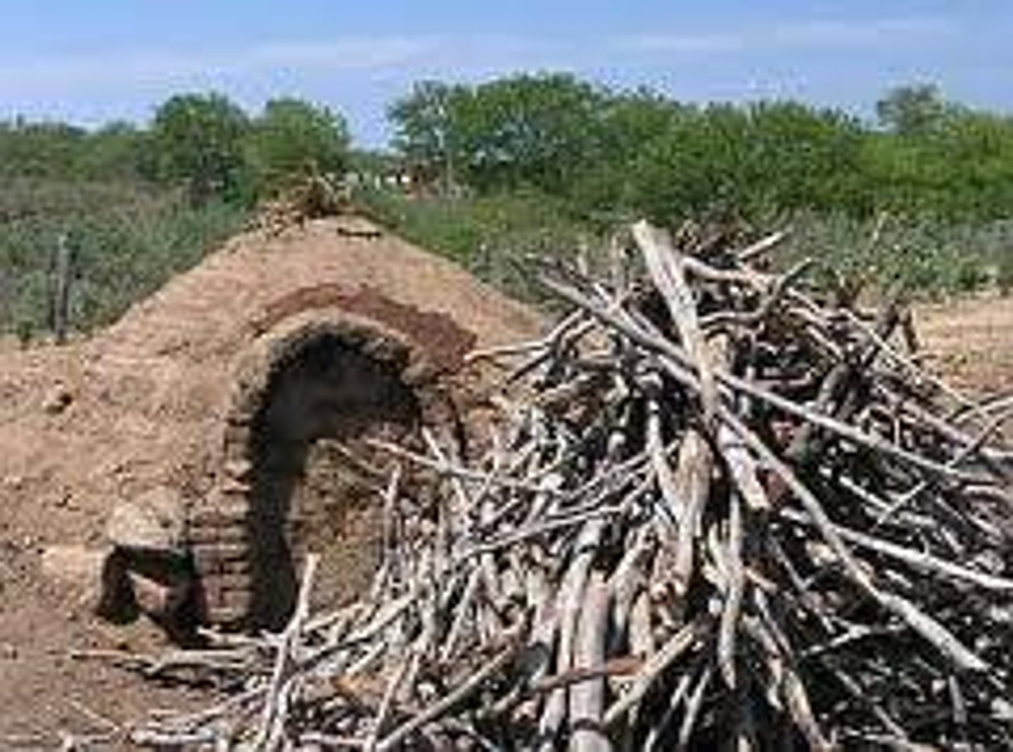 <p>Wood used for fuel, for cooking/keeping warm etc.</p>