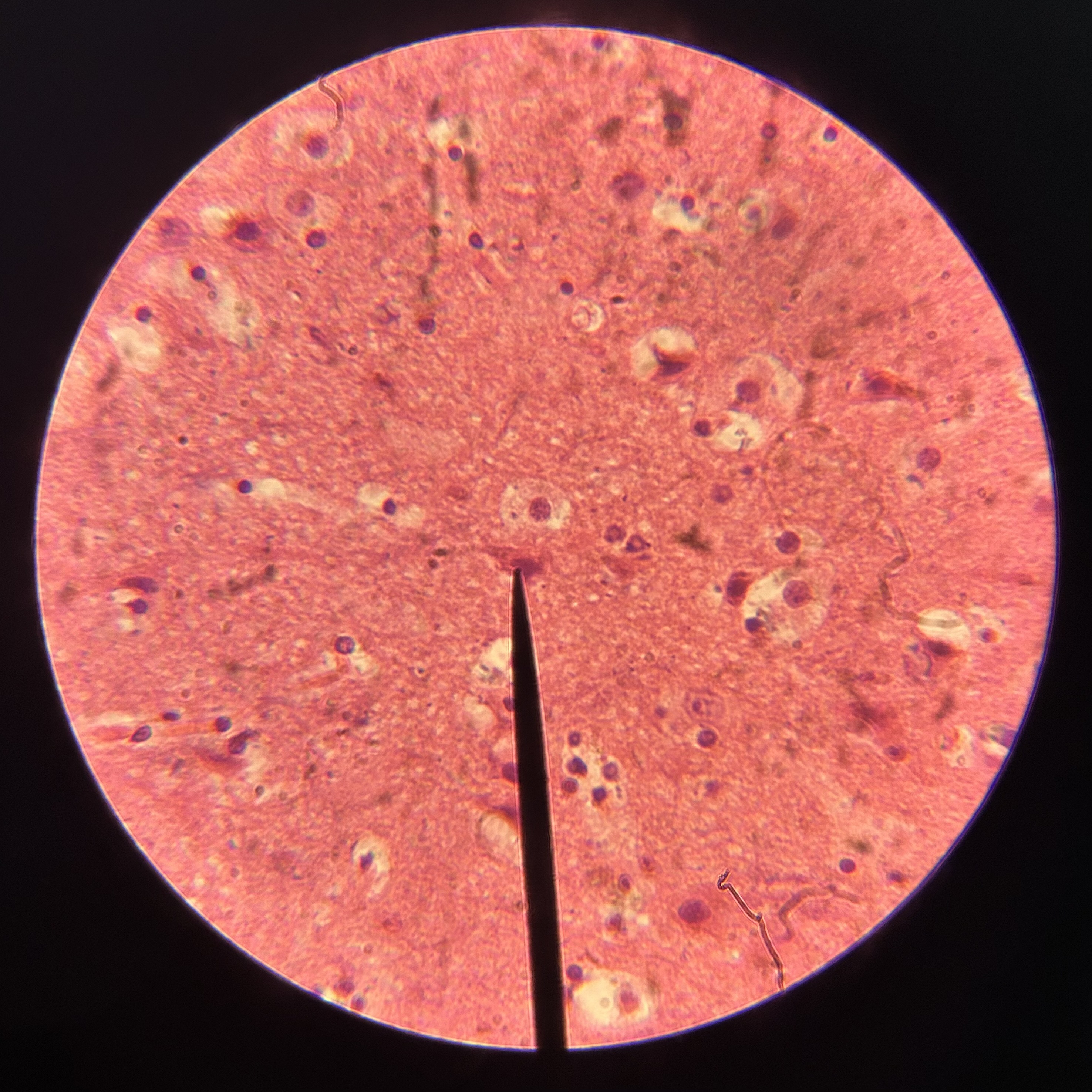 <p>What location is shown?</p>