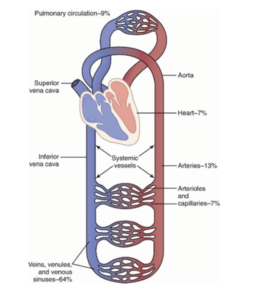 <p>What does arterial pressure = ?</p>