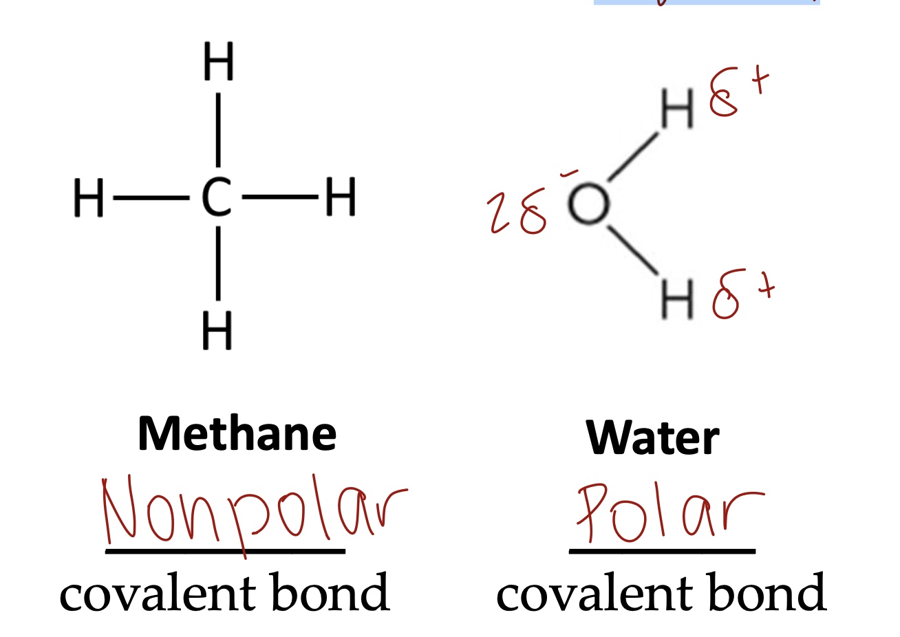 <p><span><span>Covalent bonds can be either polar or nonpolar depending on whether the atoms share the electrons equally or not.</span></span></p>