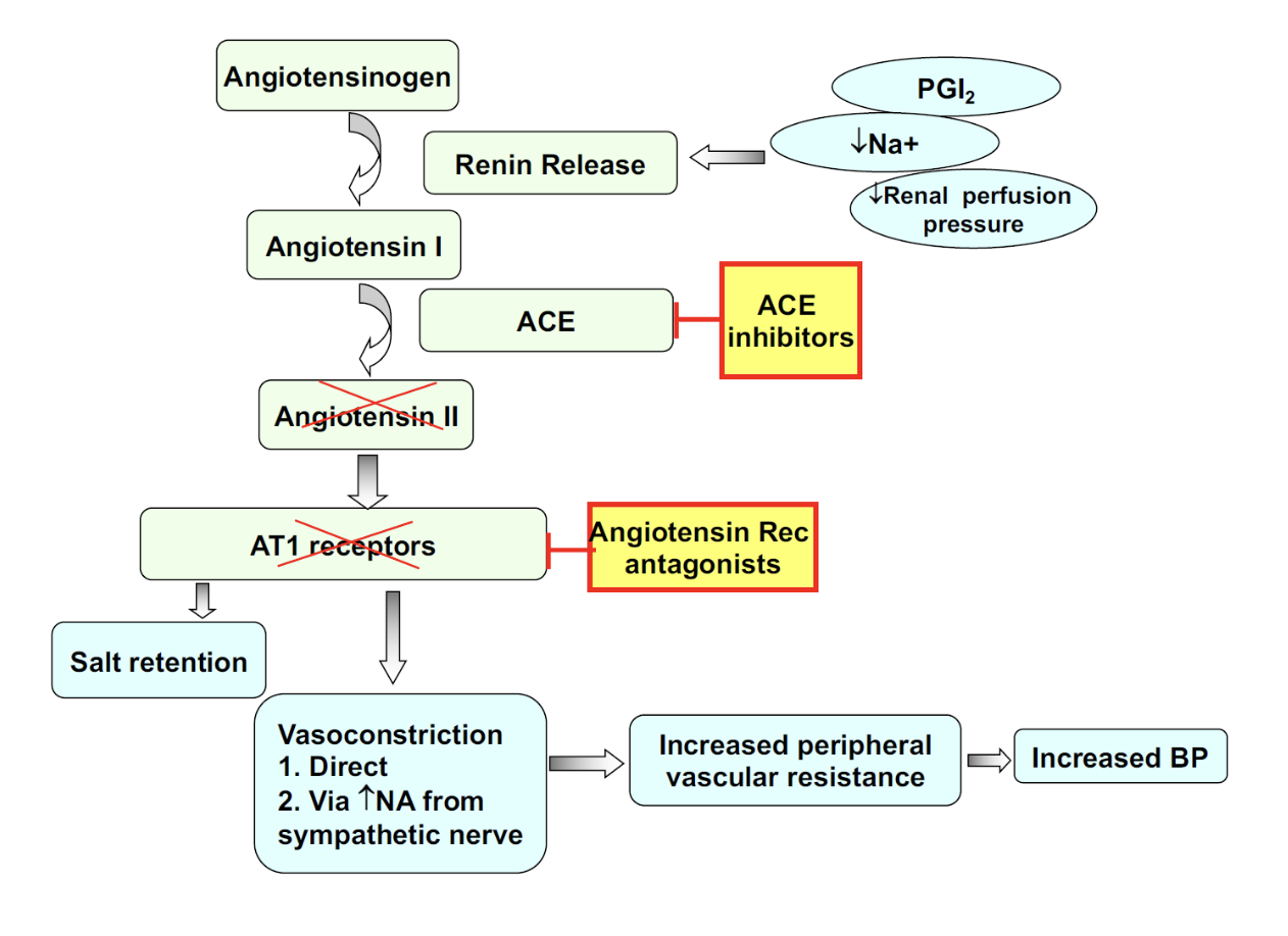 <p>"Red boxes are inhibitors</p>