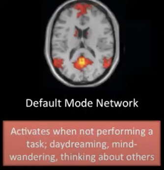 <ul><li><p>consists of discrete cortical areas (bilateral and symmetrical)</p><ul><li><p>medial prefrontal cortices</p></li><li><p>posterior cingulate cortices</p></li><li><p>medial and lateral parietal cortices</p></li><li><p>medial and lateral temporal cortices</p></li></ul></li><li><p>typically more active when we aren’t engaged in attention-demanding or goal-directed tasks </p></li><li><p>thought to allow emotional processing, self-referential mental activity, and the recollection of prior experiences</p><ul><li><p>e.g., introspection about oneself</p></li><li><p>e.g., thinking about others </p></li></ul></li></ul><p></p>