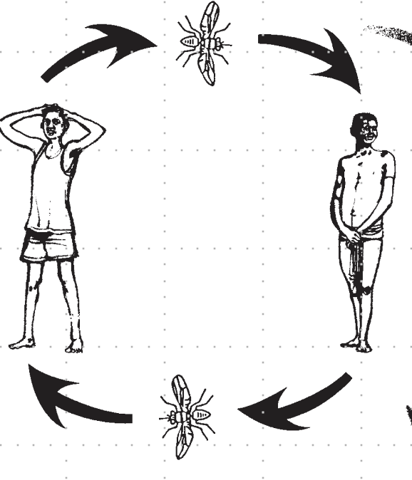 <p>human-fly contact</p>