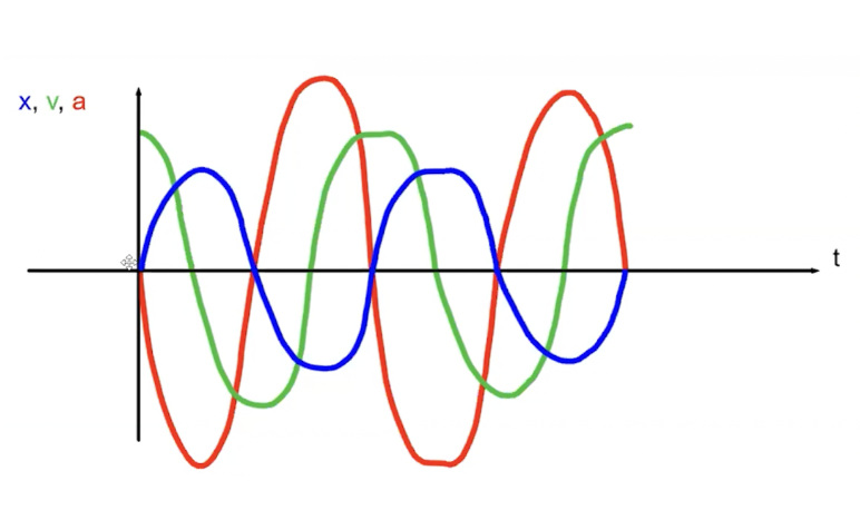 <ul><li><p><span style="color: blue">position: x(t) = </span><strong><span style="color: blue">A*sin(ωt)</span></strong></p></li><li><p><span style="color: green">velocity: v(t) = d/dt [x(t)] = </span><strong><span style="color: green">Aω * cos(ωt)</span></strong></p></li><li><p><span style="color: red">acceleration: a(t) = d2/dt2 [x(t)] = d/dt [v(t)] = </span><strong><span style="color: red">-Aω2 * sin(ωt)</span></strong></p></li></ul>