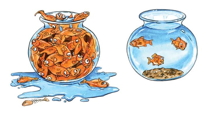 <p>max # of individuals of a species that can exist in a habitat indefinitely without threatening other species in that habitat</p>