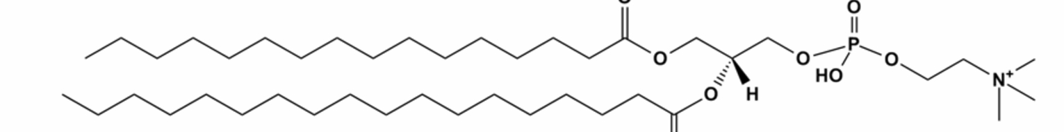 <p>what is this lipid and what is its function</p>