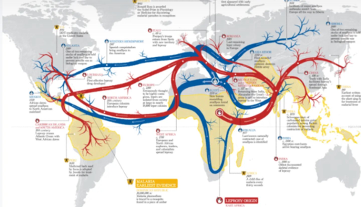 <p>shows movement along an established network, usually based on transportation or communication inter connectivity</p>