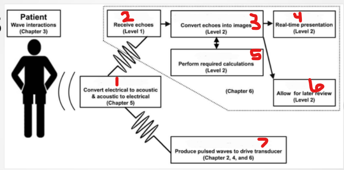 <p>what is #1 labeled?</p>