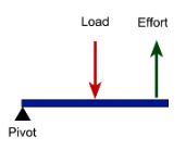 This type of lever is like a wheelbarrow wherein the effort is applied at one end of the lever and the fulcrum is at the other end, with the load in between.