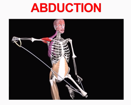 <p>Abduction</p>