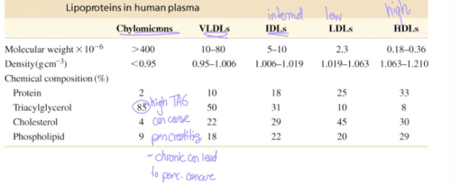 <p>Chylomicrons have the highest molecular weight, least density, and are high in TAGs. VLDLs are of medium weight 10-80; slightly higher density than chylomicrons and consist highly of TAGs. IDLs have MW of 5-10, higher density, and highly consist of TAGs and cholesterol. LDLs have a MW of 2.3, higher density and consist of protein and cholesterol. HDLs MW is 0.18-0.36 and have a high density; they consist of protein, cholesterol, and phospholipids.</p>