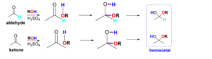 <ul><li><p>react with one mole of alcohol and acid to form a hemiacetal</p></li></ul>