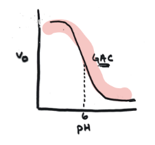 <p>Higher v<sub>0</sub> at lower pH</p>