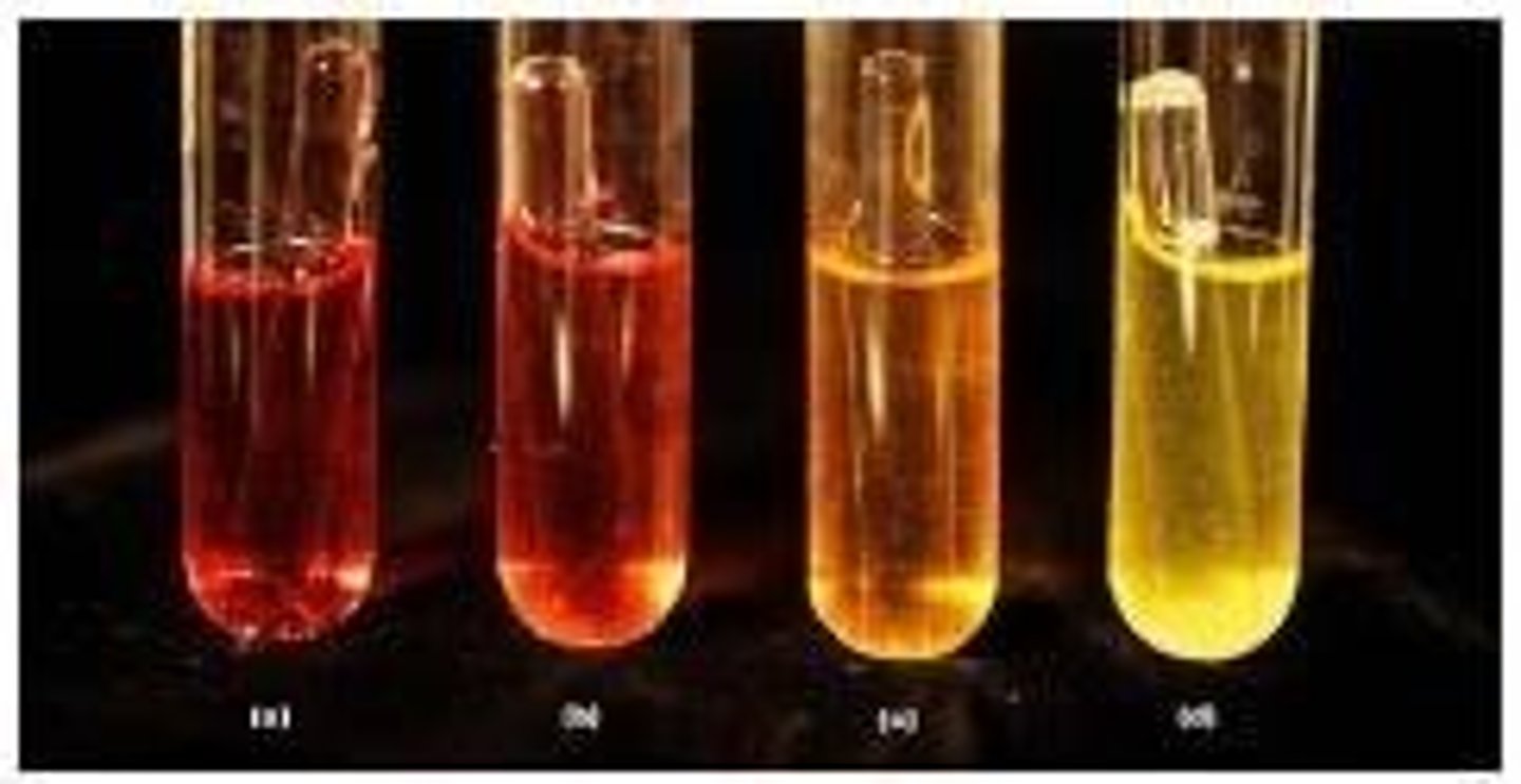 <p>It traps gas produced during fermentation, indicating positive fermentation.</p>