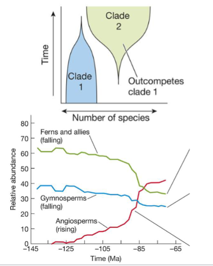 <p>one taxon outcompetes another</p><p>as one clade decreases in number of species, the other clade increases</p>