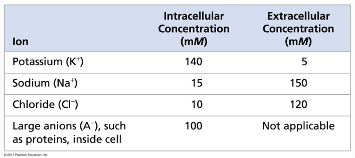 <p><span>Which way would Na flow if ion channels are open? </span></p><p><span>A. Into the cell</span></p><p><span>B. Out of the cell</span></p>