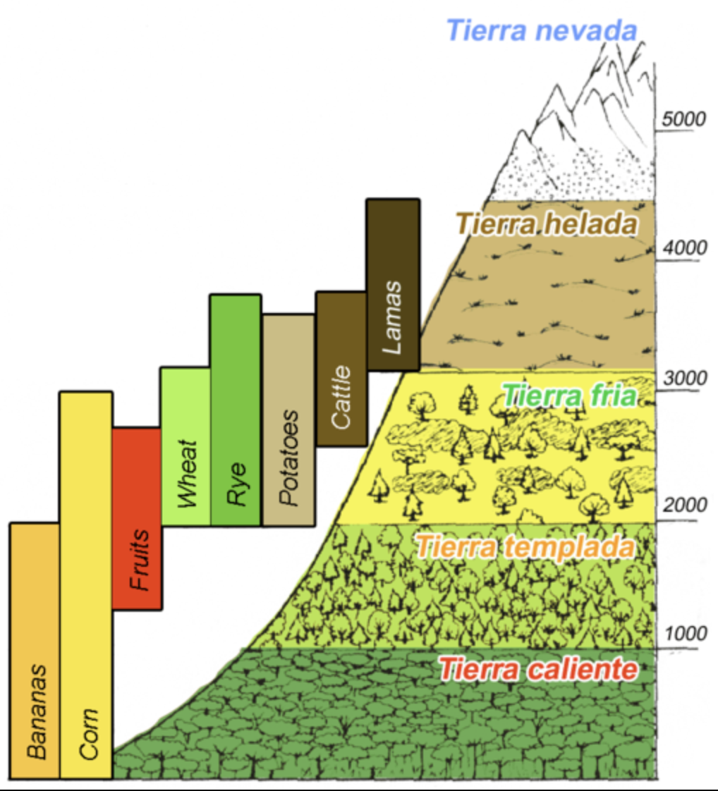 <p>Elevation (Montane Zonation) - factor that allows zonation</p>
