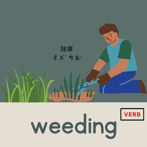 <p>weeding</p>