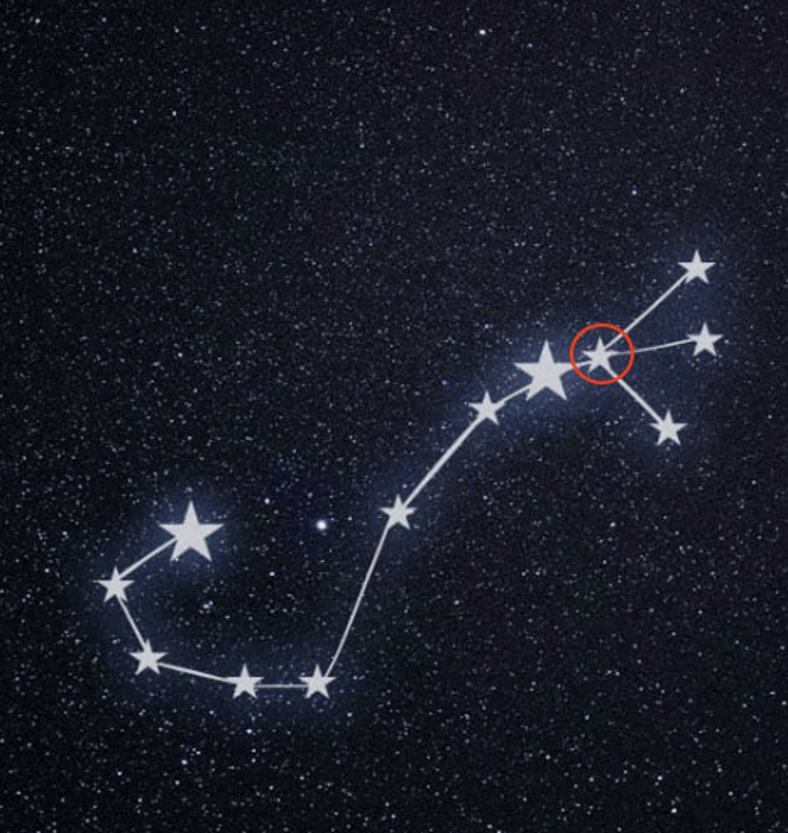 <p>What is Scorpius star i need to know</p>