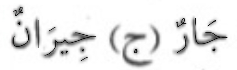 term image