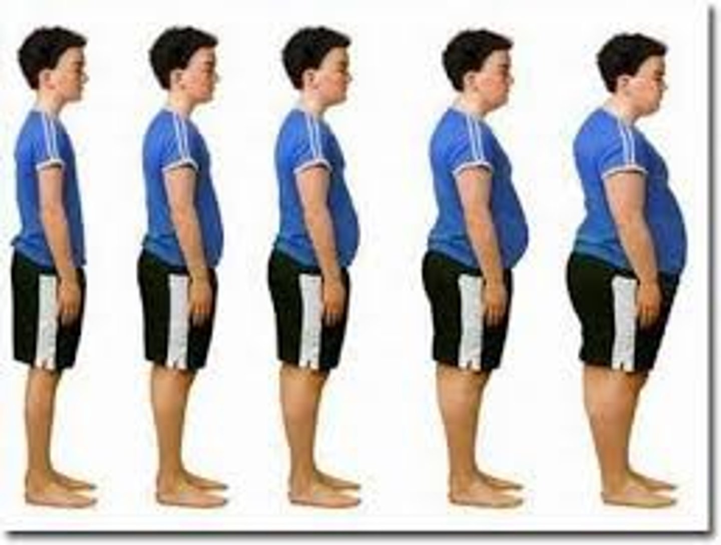 <p>aumentar el peso, engordar</p>