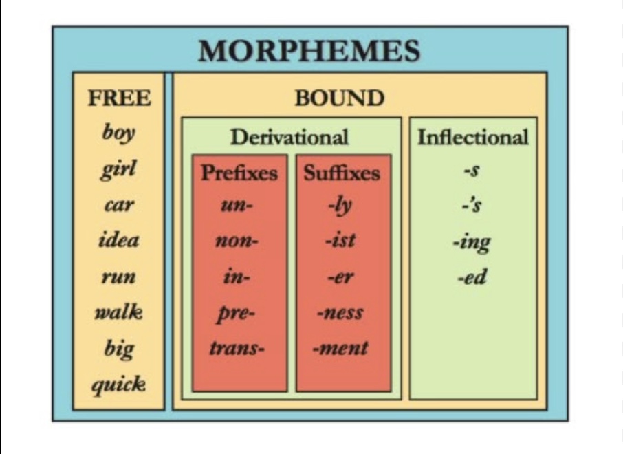 <p>Derivational Morpheme</p>