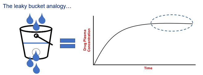<p>Steady state concentration - The leaky bucket analogy </p>