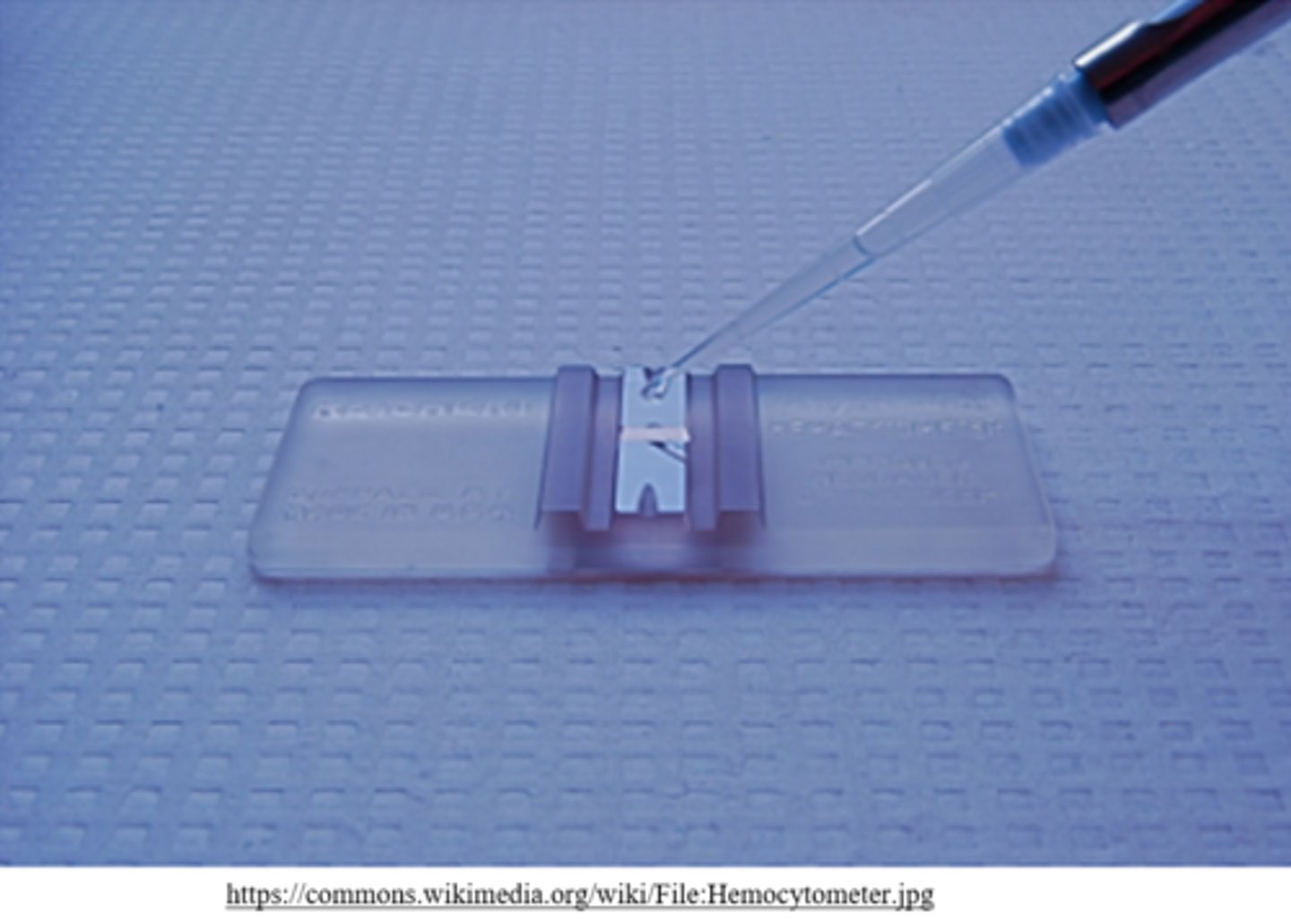 <p>cell counting chambers</p>