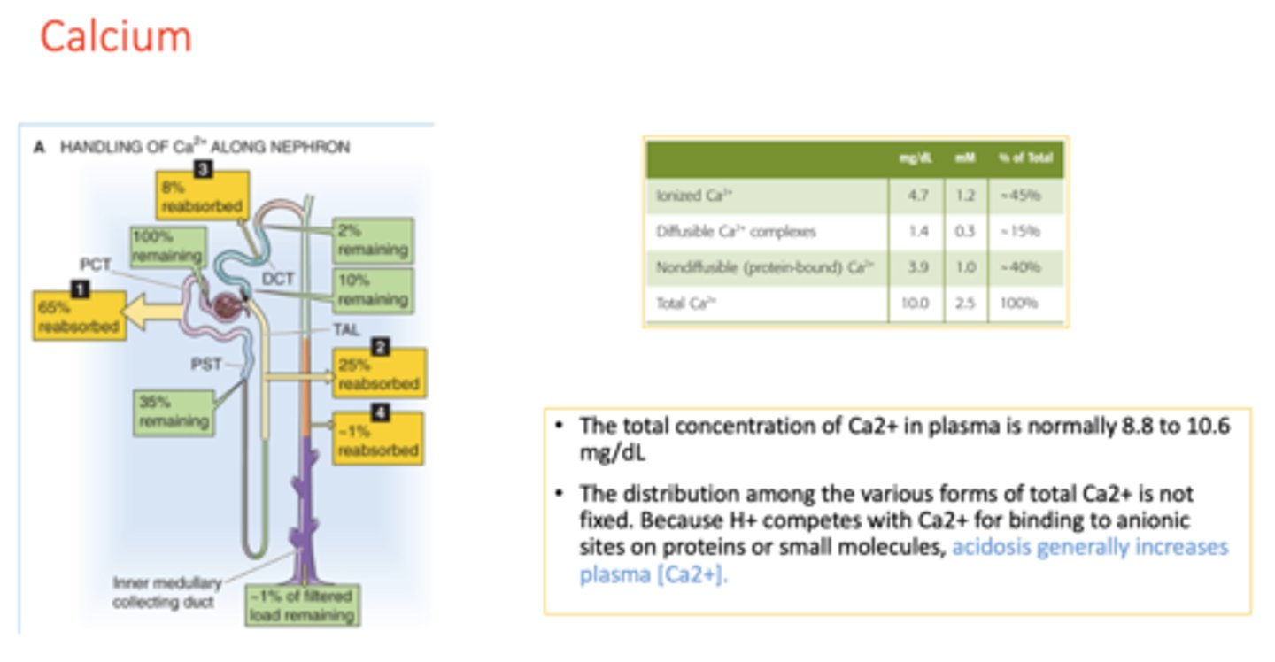 <p>8.8 to 10.6 mg/dL</p>