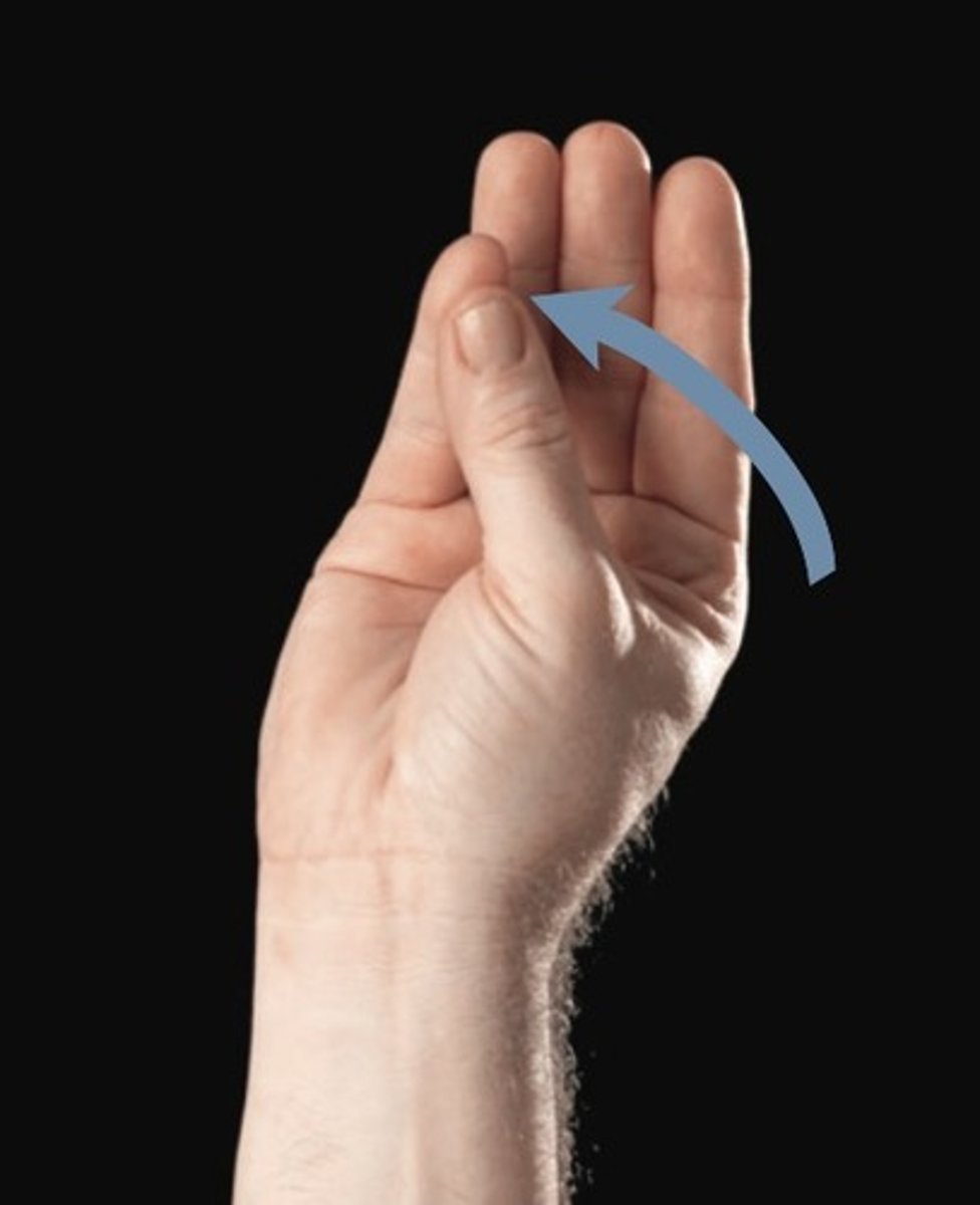 knowt flashcard image