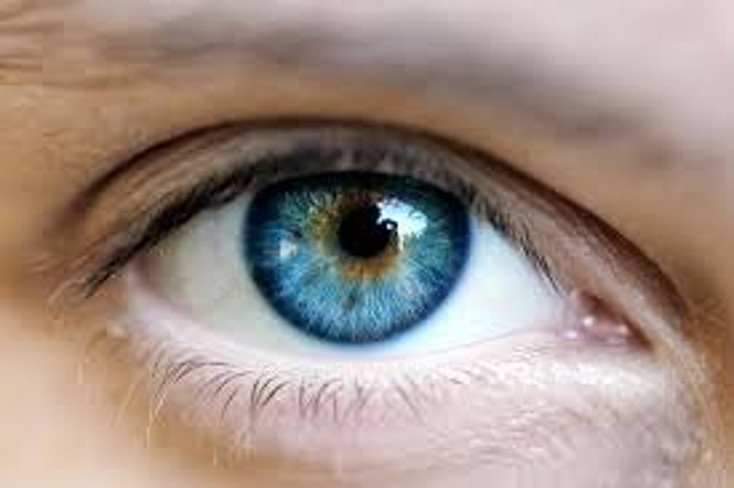 <p>to see</p>