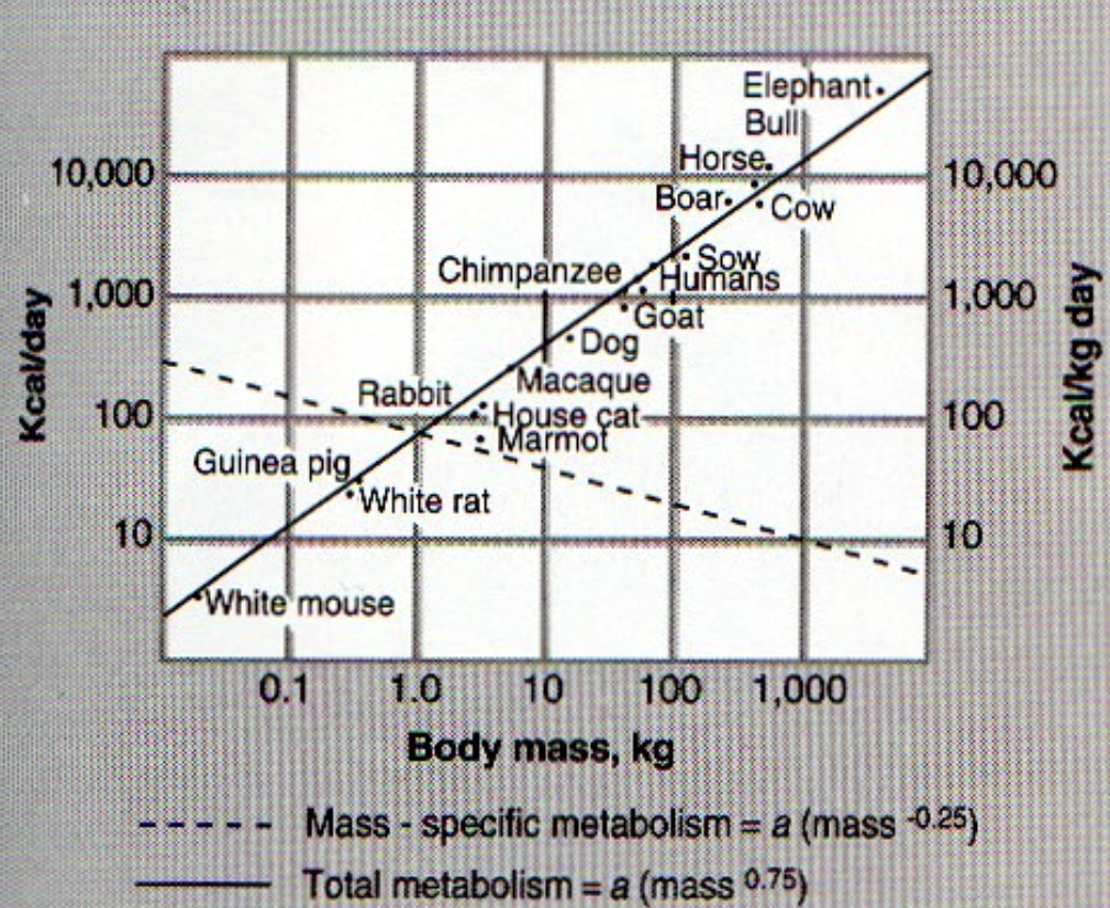<p>what does this graph show?</p>