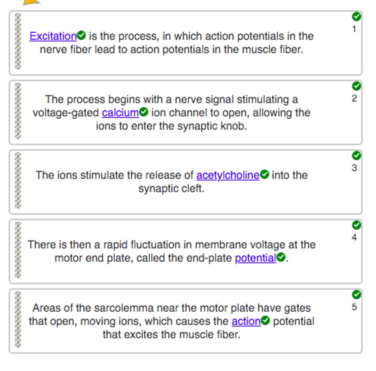 knowt flashcard image