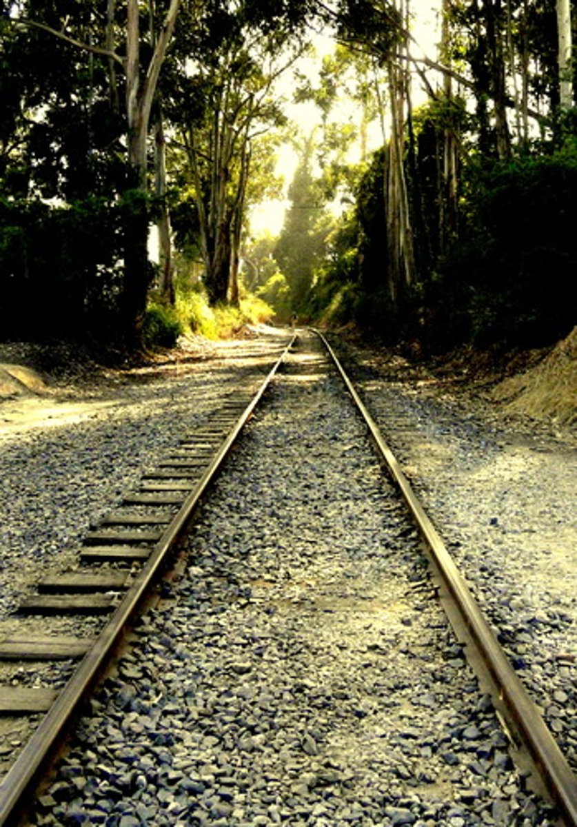 <p>a path, often circular, used for races</p>